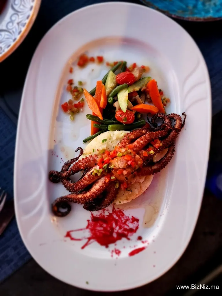 Octopus Oualidia