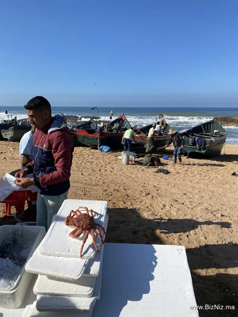 Oualidia Beach corniche side