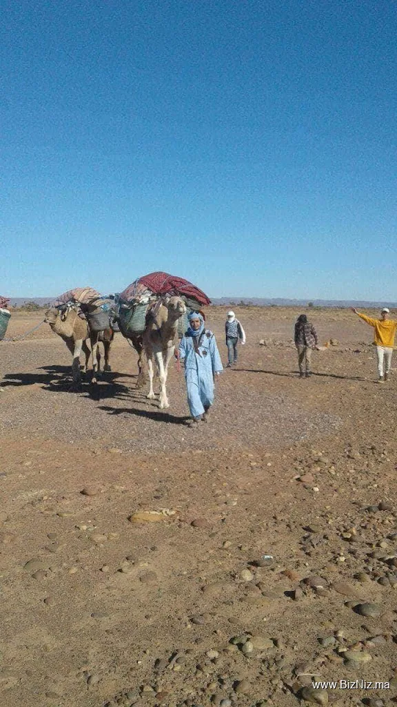 Travel to CASABLANCA Excursions