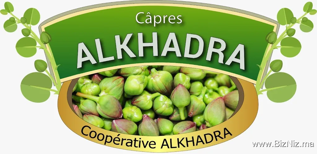Coopérative Al Khadra : Production, Valorisation et Commercialisation des Câpres de Safi_Sebt Gzoula