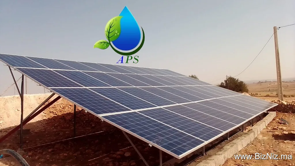 Agri Phyto Solution (A.P.S)