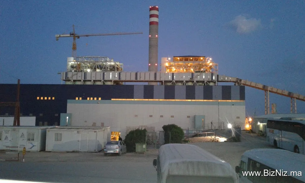 Tectra Safi