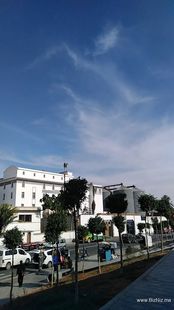 Grands Moulins de Safi s.a.