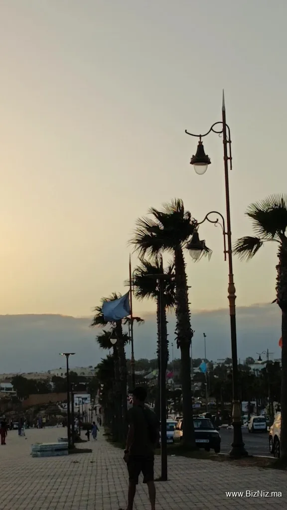 Sidi Bouzid Safi