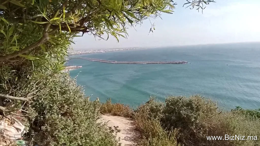 Sidi Bouzid Safi