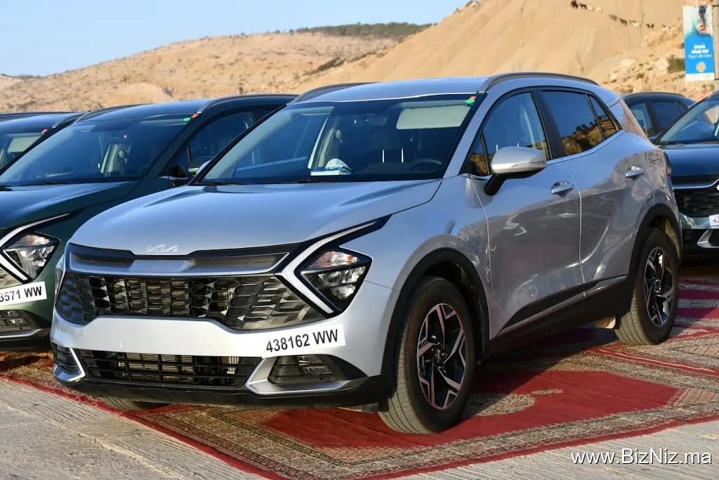Adema motors