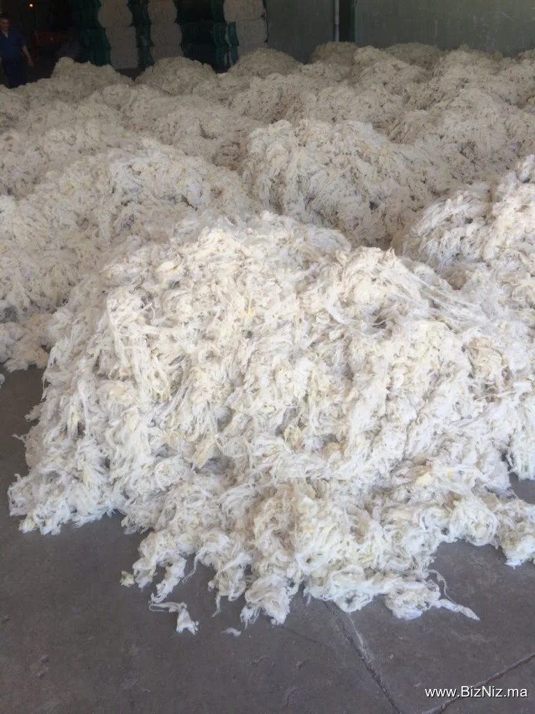 white wool wd sarl