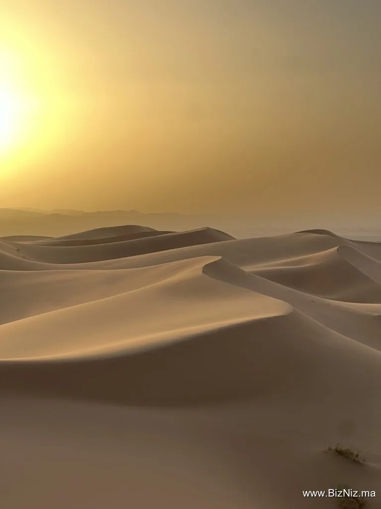 Dunas Tour