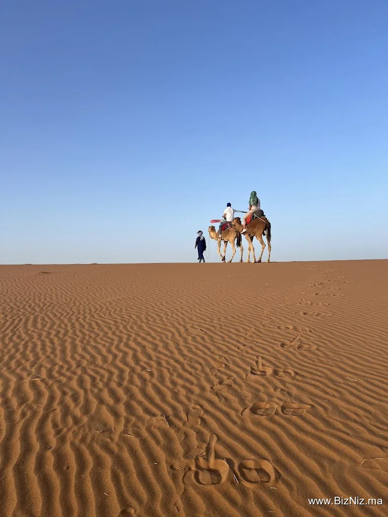 Dunas Tour