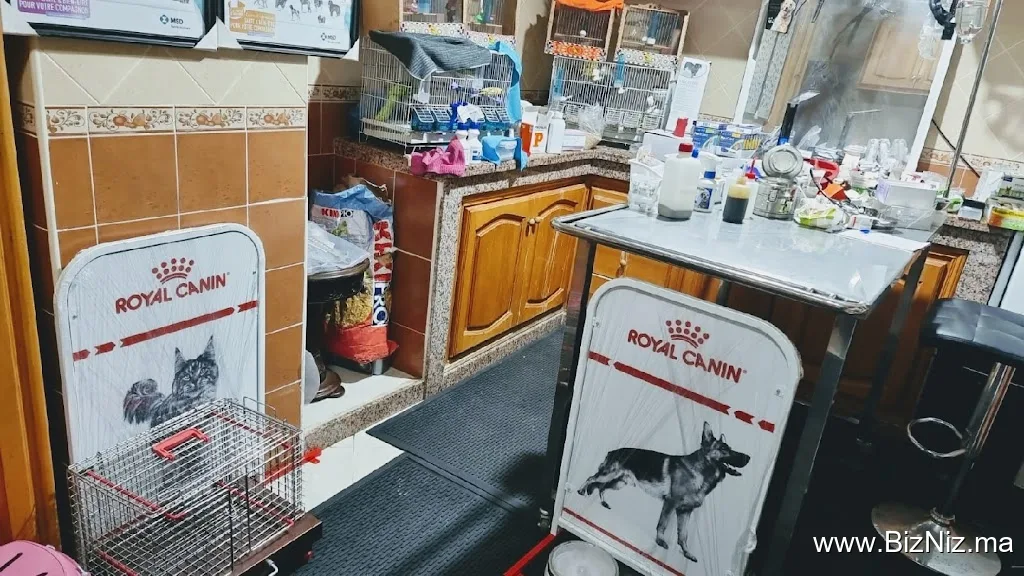 CABINET VÉTÉRINAIRE CHERIF طبيب بيطري