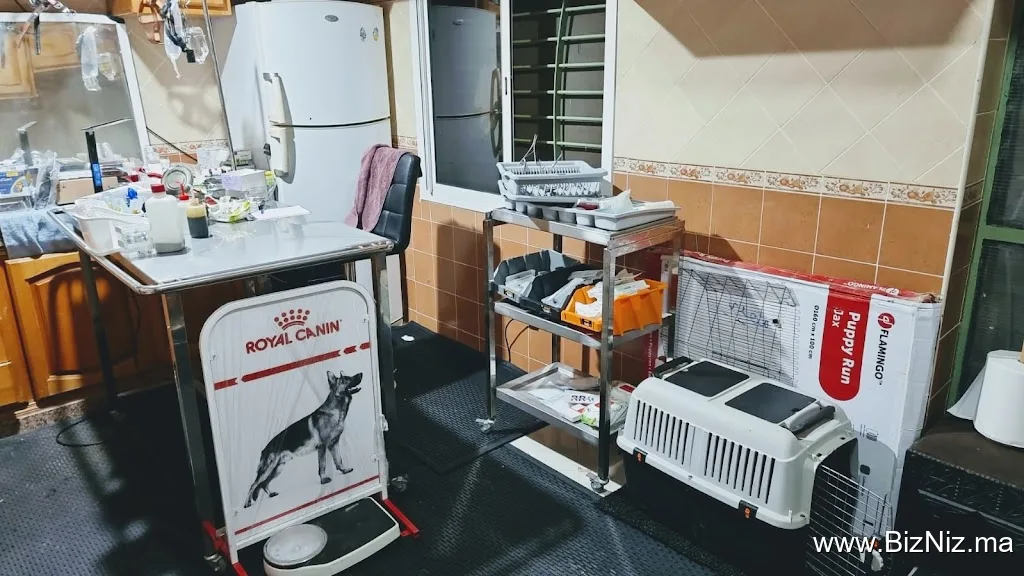 CABINET VÉTÉRINAIRE CHERIF طبيب بيطري