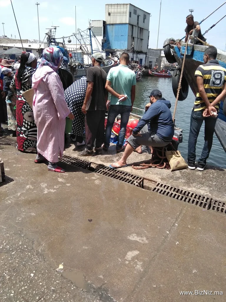 Port of Casablanca