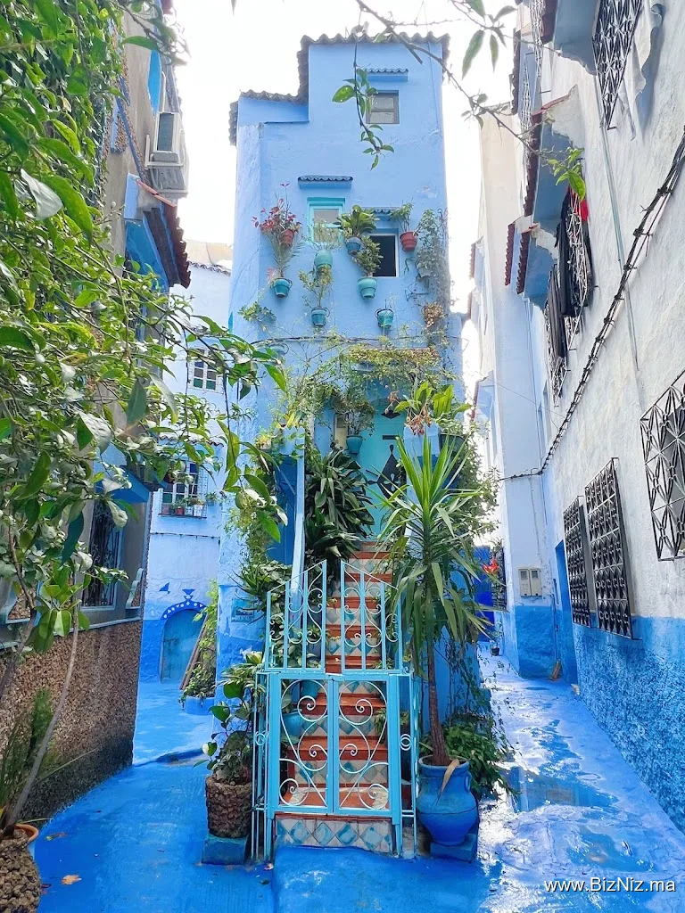 Around fez tours - 3t travel