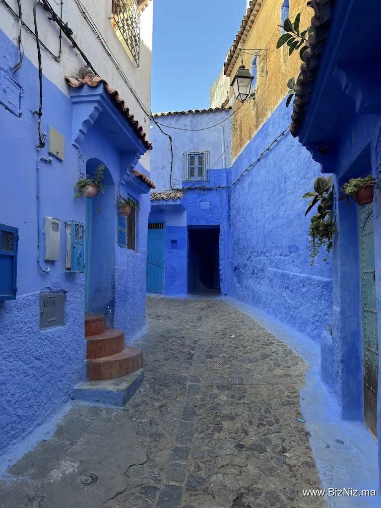 Around fez tours - 3t travel