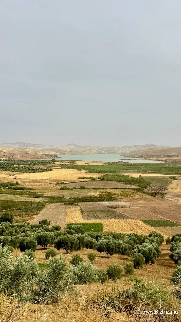 MOROCCO TOURS