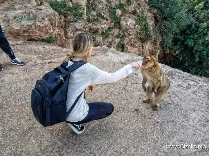 Morocco Explora Tours Company