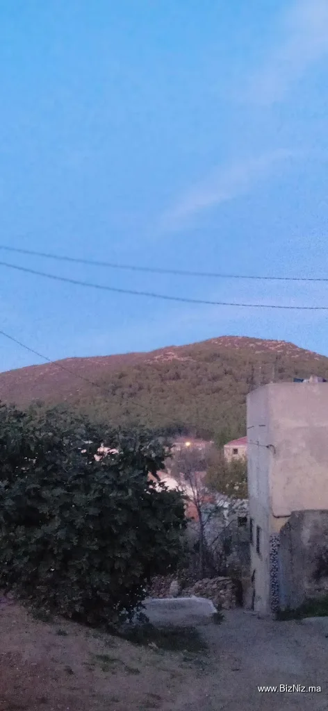 درب حجو