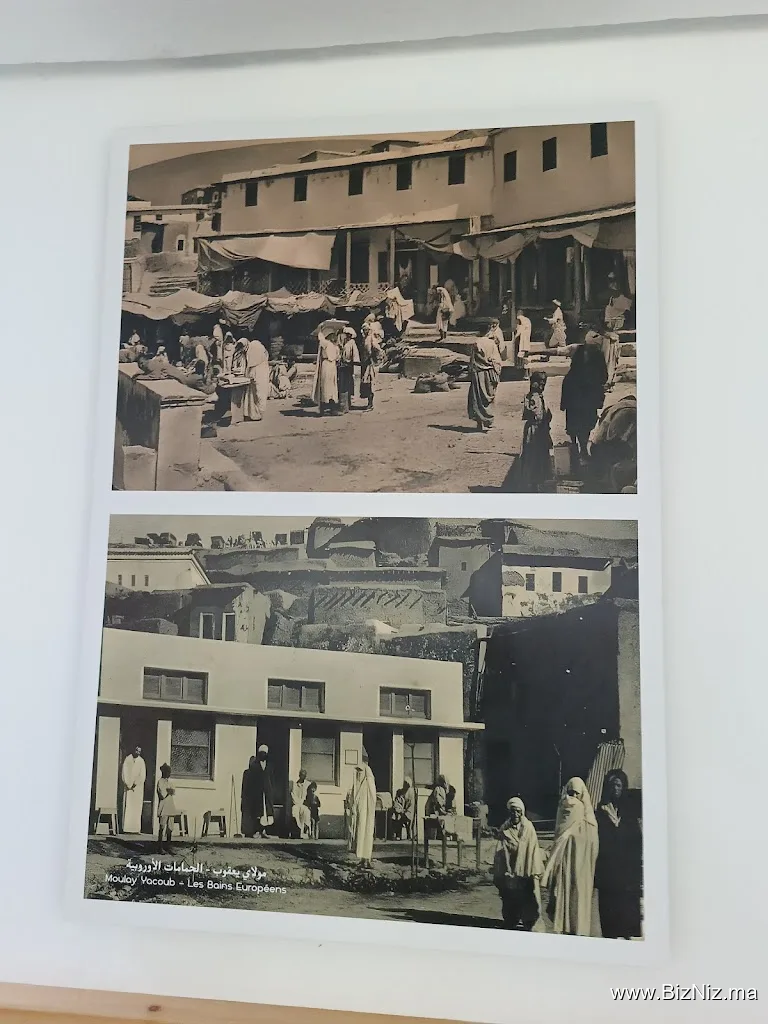 حامة مولاي يعقوب