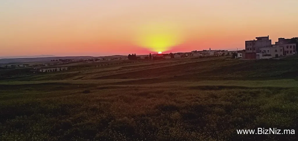 جزيرة ليلى