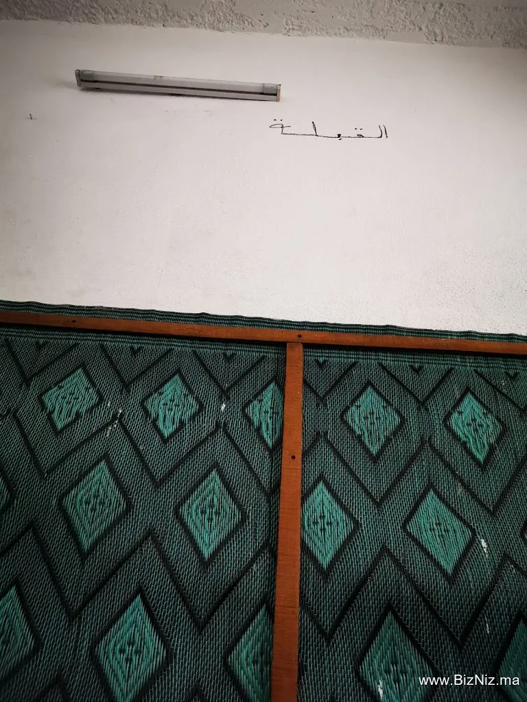 Trans Chihatours
