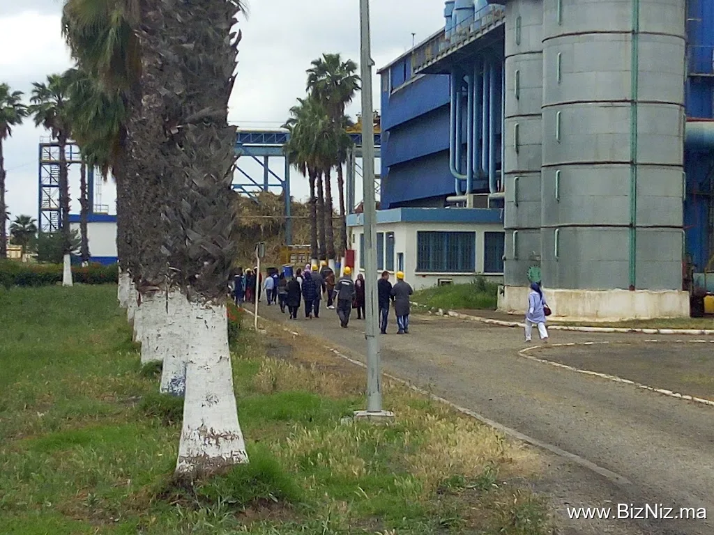 SURAC SA : Sucrerie Raffinerie de Cannes_Mechra Bel Ksiri