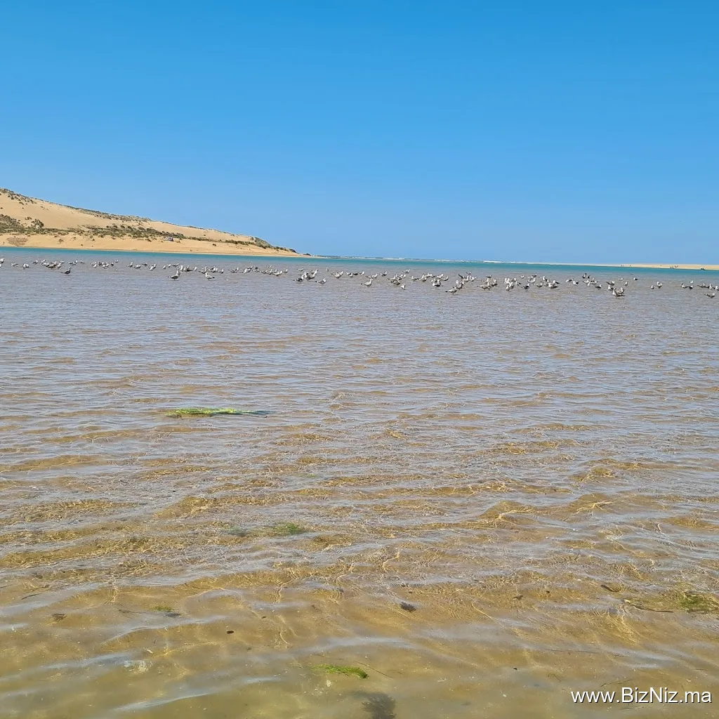 port maritime moulay.bousselham