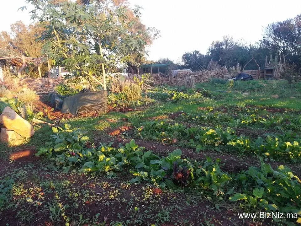 Le Potager Bio Oued El Maleh