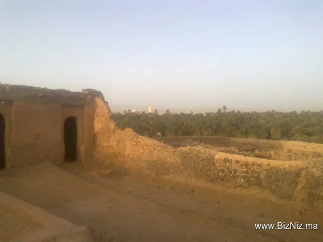 زاوية المرابطين