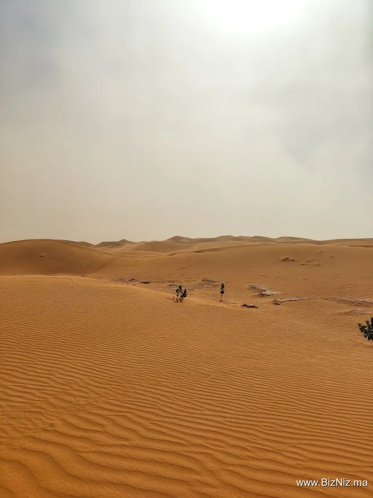 Desert Foum Zguid