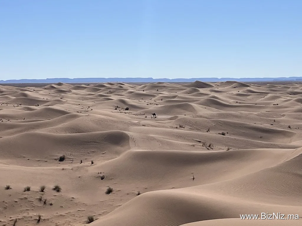 Desert Foum Zguid