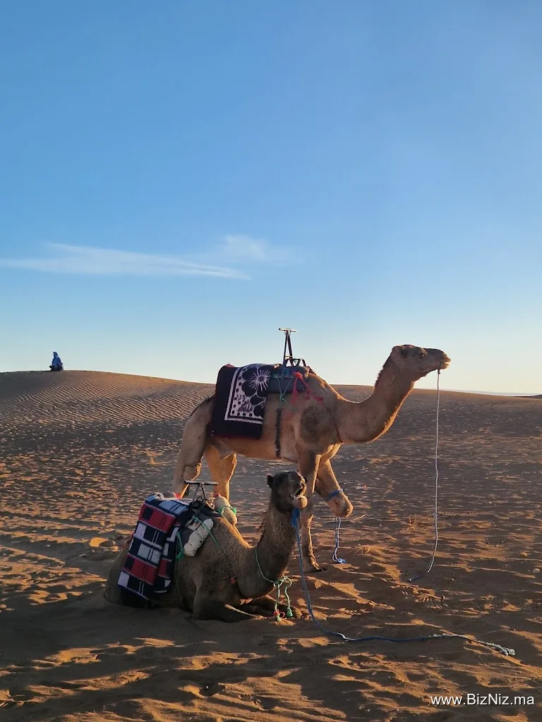 Foum Zguid Desert Tour