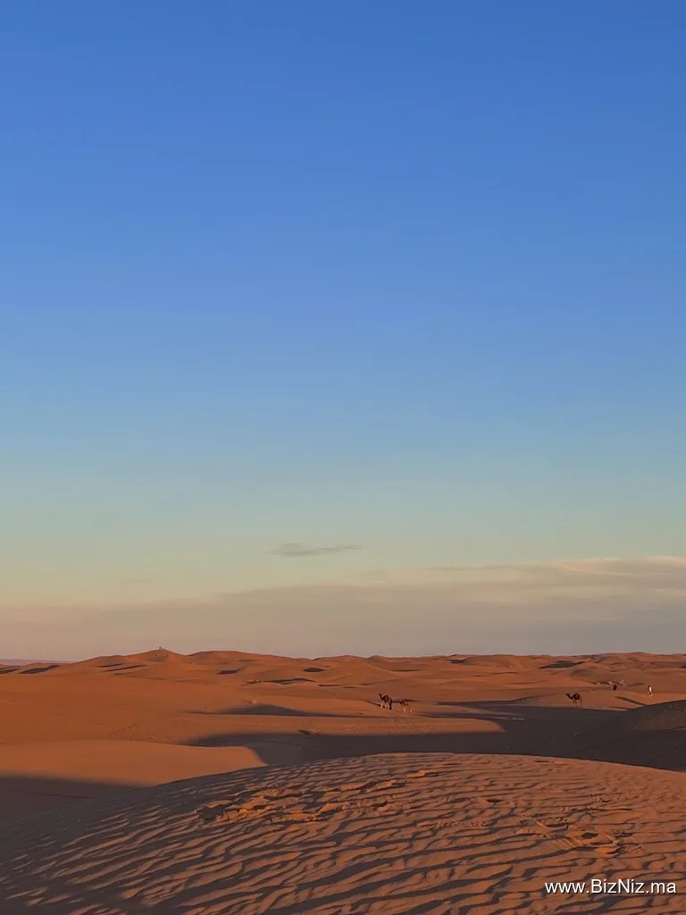 Foum Zguid Desert Tour
