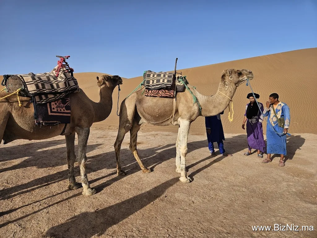 rêves du desert à Foum Zguid