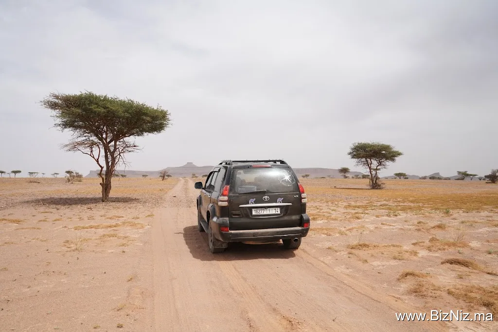 Foum zguid excursions bivouac & trek nomads