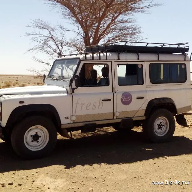 Desert adventure