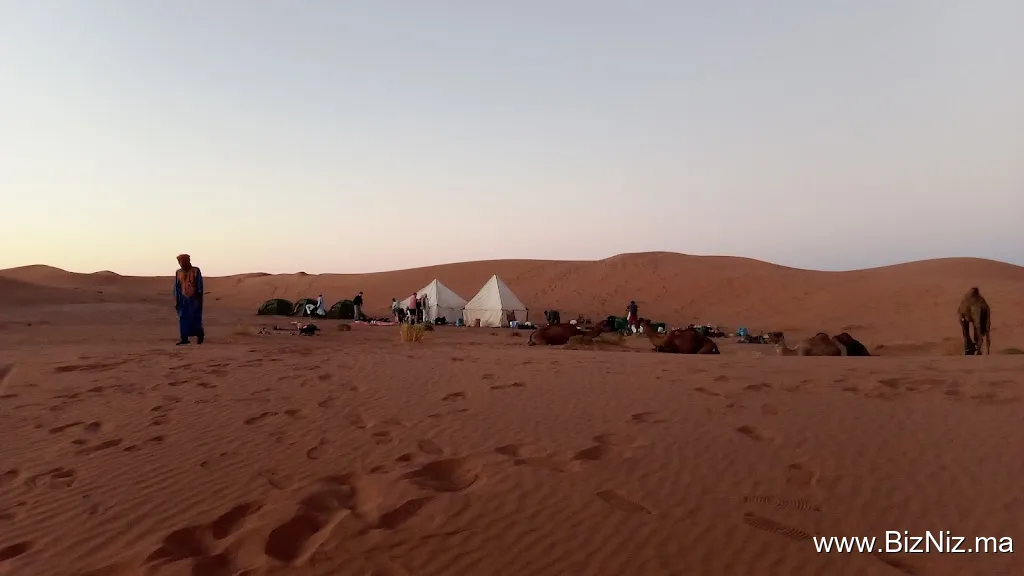 Desert adventure