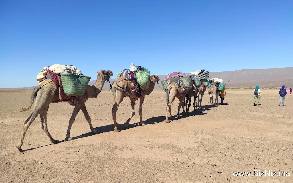 Voyages entre femmes au Maroc