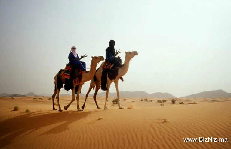DesertBrise Travel