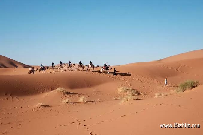 DesertBrise Travel
