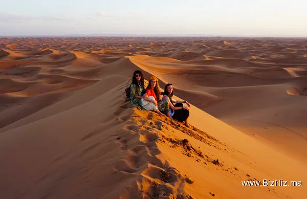 DesertBrise Travel