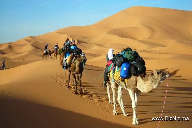 DesertBrise Travel