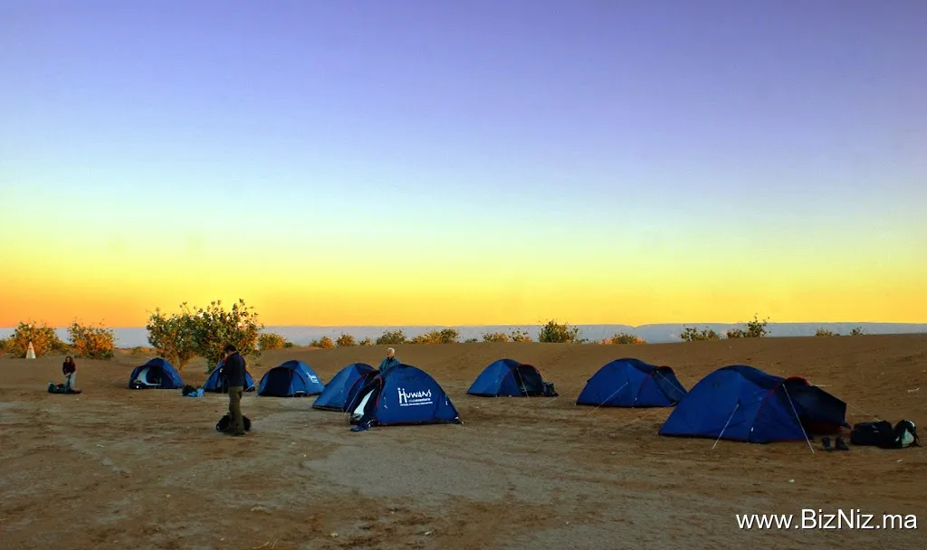 DesertBrise Travel