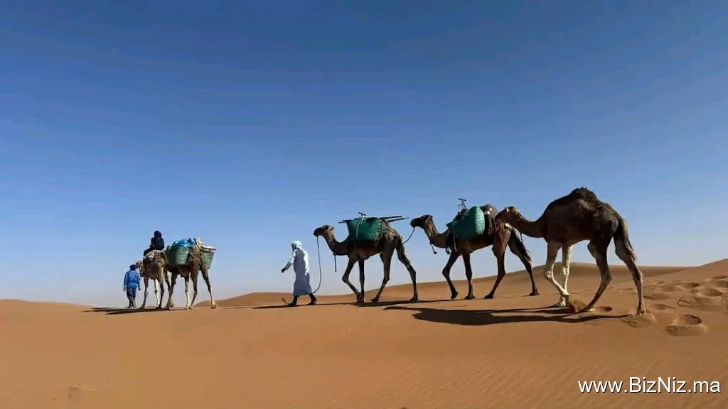 Dunetour