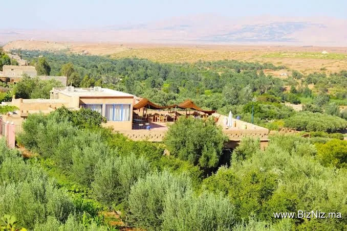 Riad Amizmiz