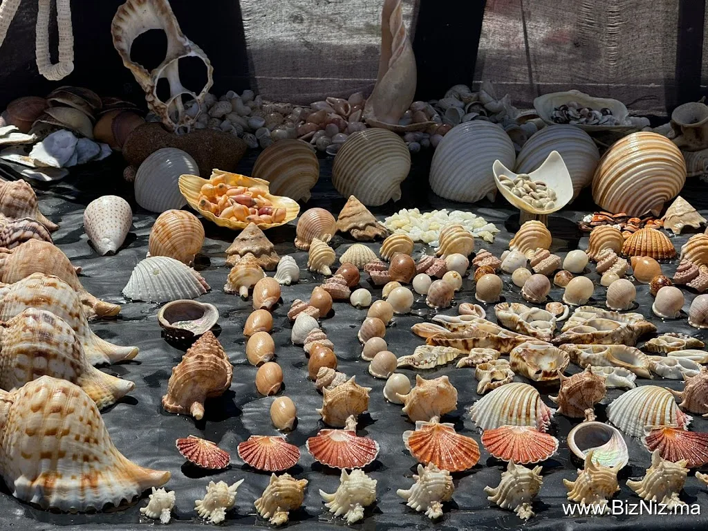 marrakech desierto tours