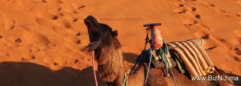 Morocco Safe Adventure