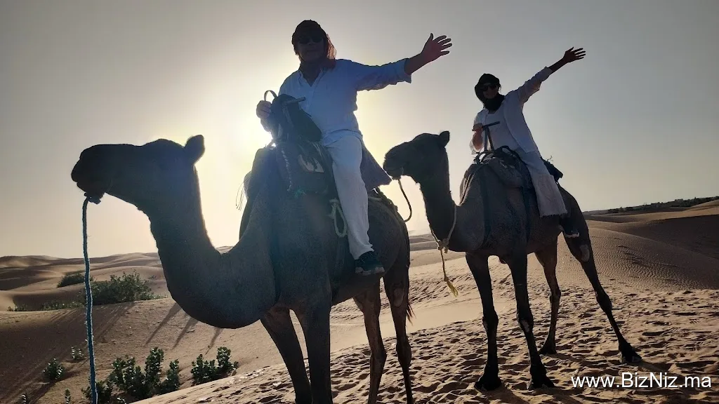 Marrakech Tours Agency
