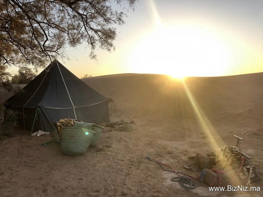 Travel To Desert / Morocco Sahara Tours