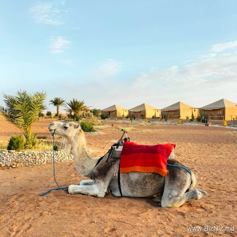 Travel To Desert / Morocco Sahara Tours