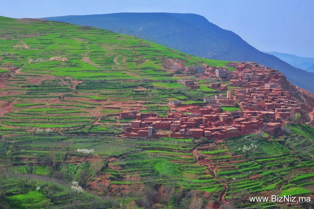 One Life Trips - Authentic Marrakech Tours & Activities